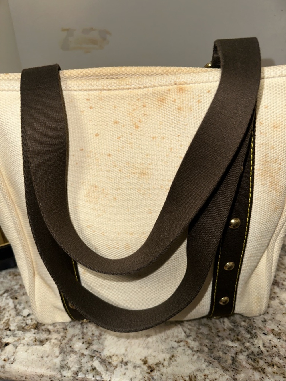 Louis Vuitton Cream Canvas Tote with Dark Brown Straps and Gold Plaque PRE-OWNED - Picture 7 of 17